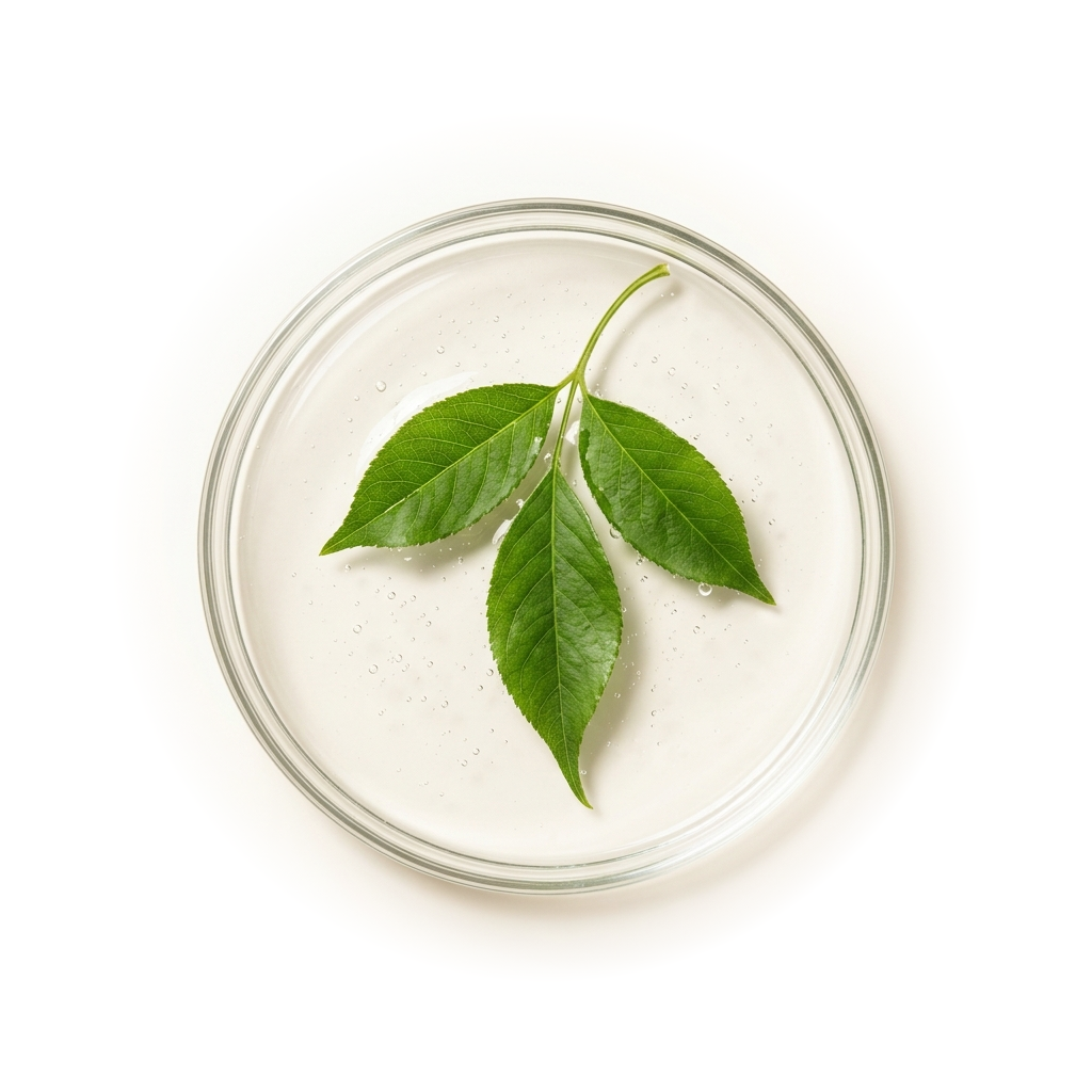 Purity Formulation & Botanical Essence